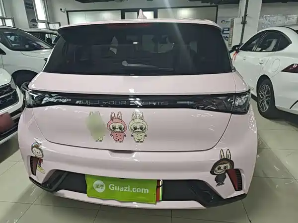 BYD Dolphin 2024