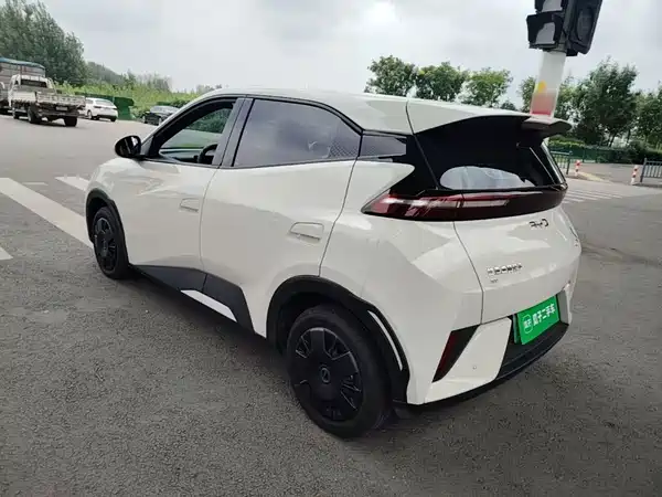 BYD Seagull 2025