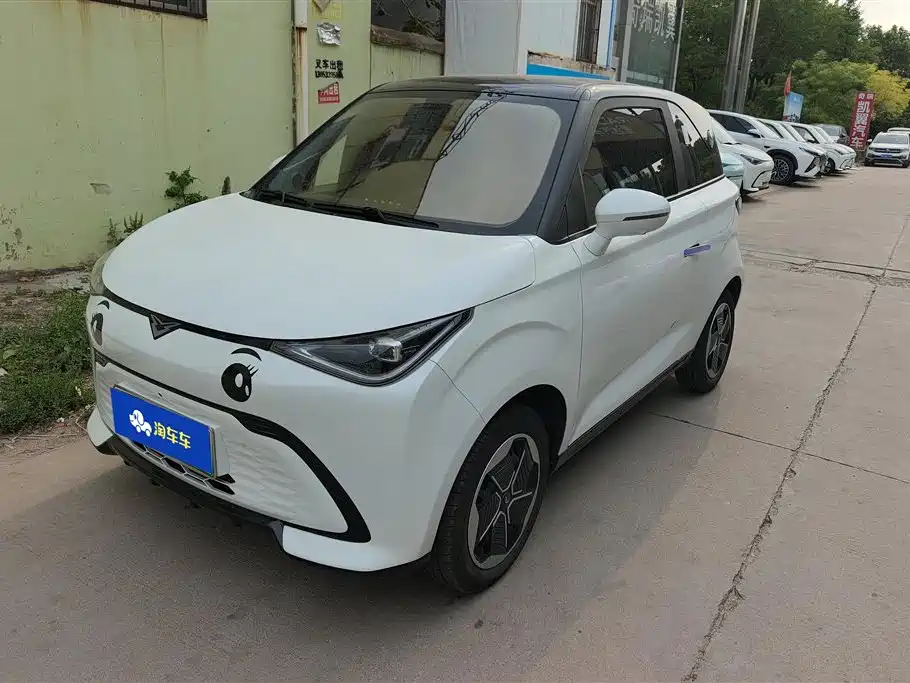 Cowin Shiyue 2024