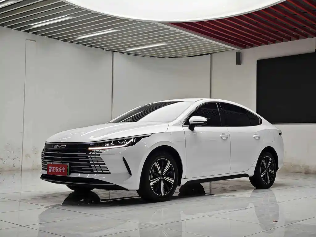 BYD Destroyer 05 2024 — фото 1