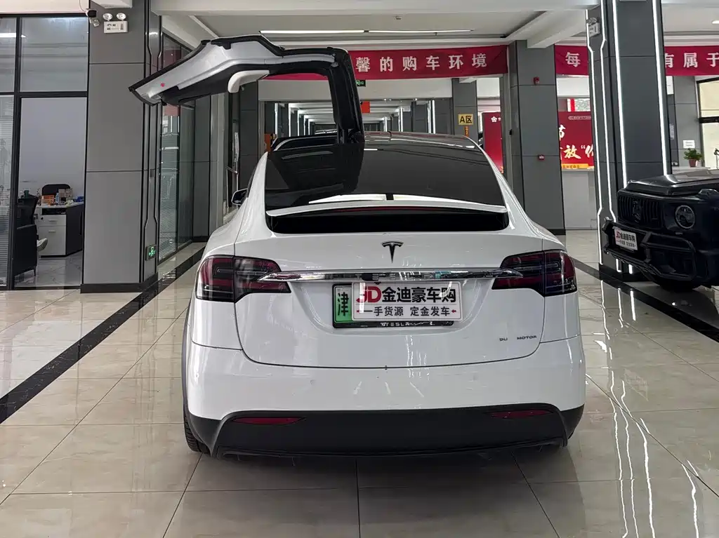 Tesla Model X 2019 — фото 15
