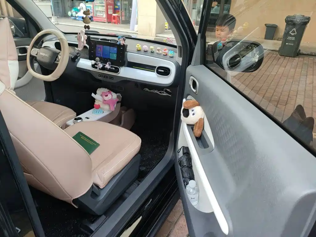 Geely Galaxy Panda 2025 — фото 19