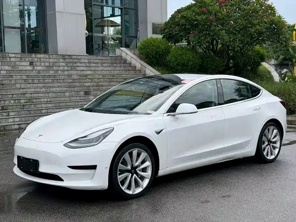 Tesla Model 3 2020