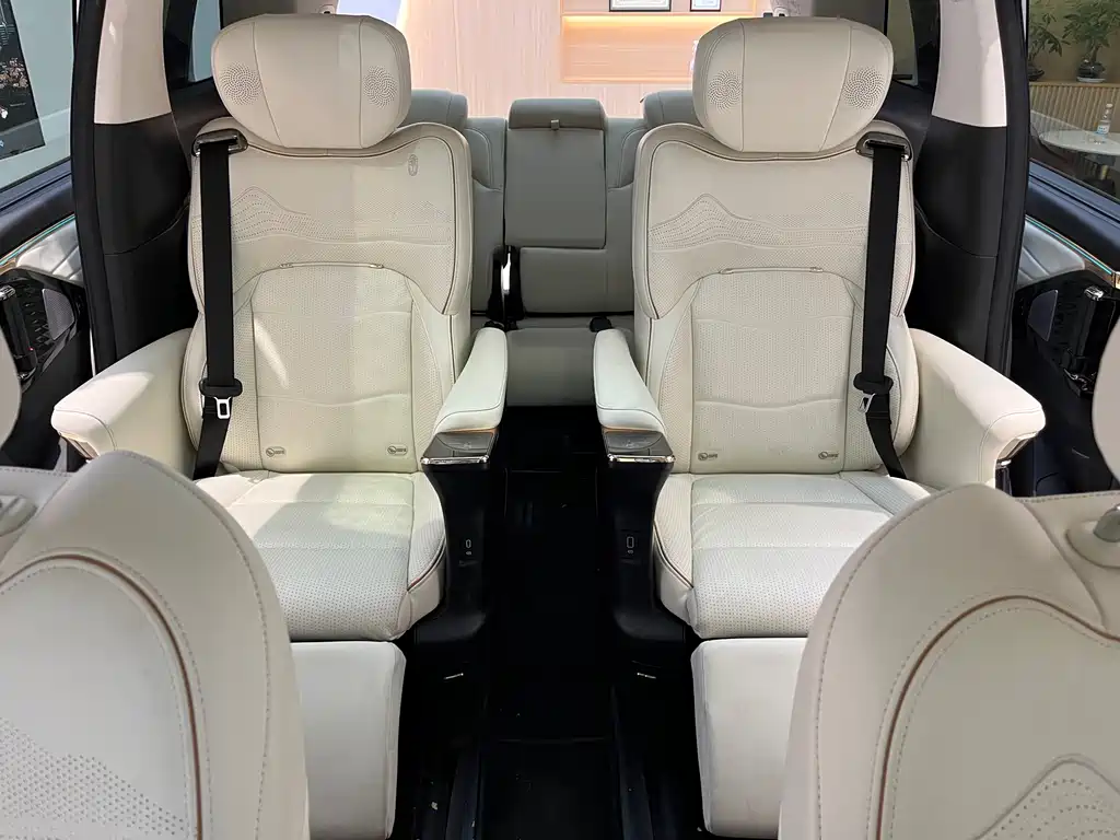 GAC Motor Trumpchi E9 2025 — фото 10