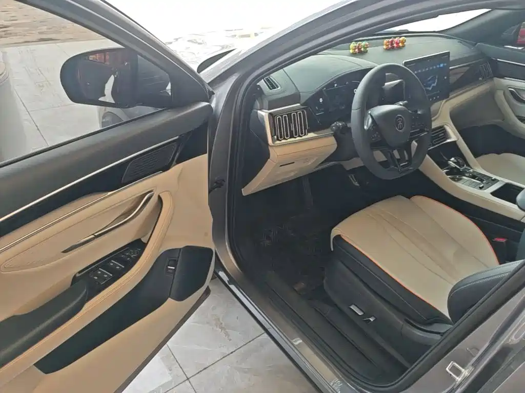 BYD Song PLUS New Energy 2023 — фото 16