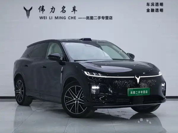 Voyah Zhiyin 2025