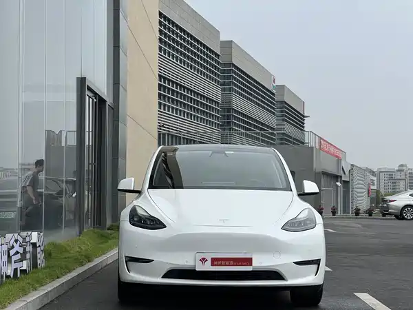Tesla Model Y 2021