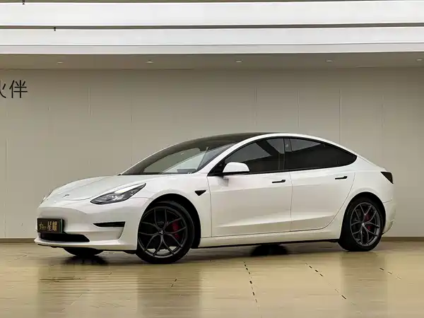 Tesla Model 3 2021