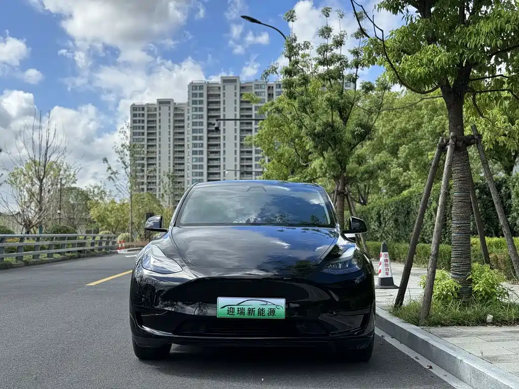 Tesla Model Y 2023 — фото 15