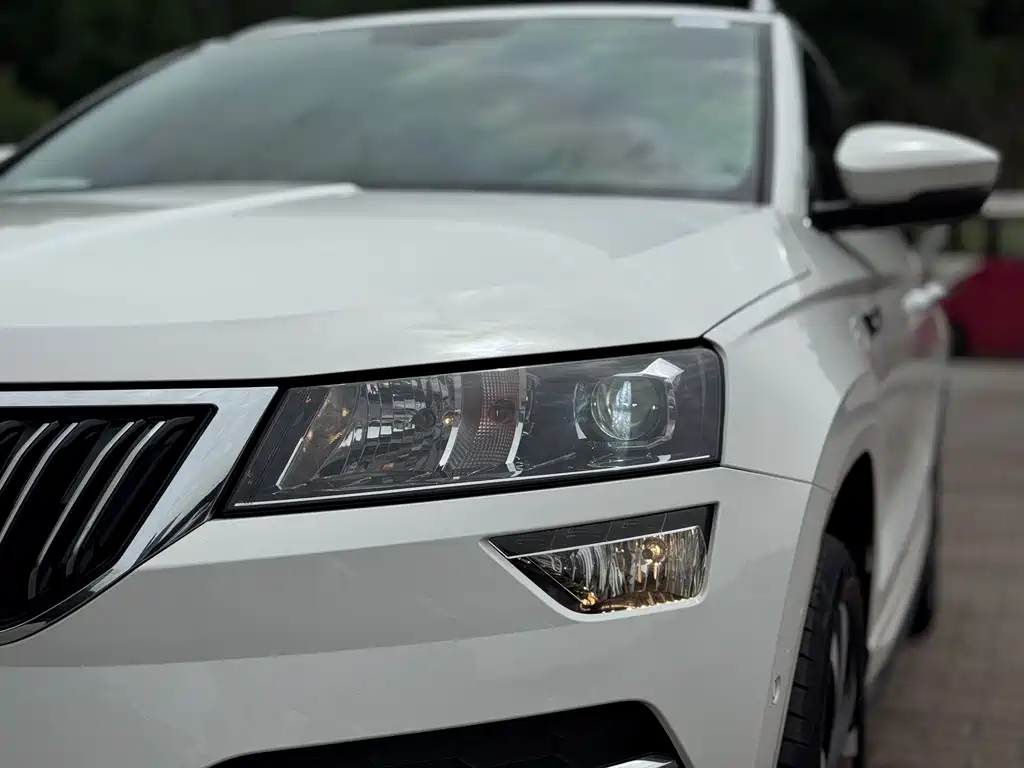 Skoda Karoq 2022 — фото 9