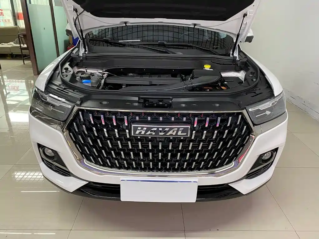 Haval H6 2023 — фото 16