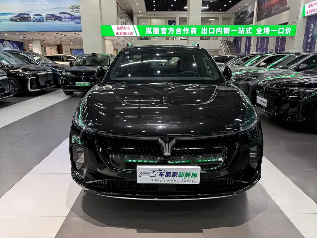 VOYAH Zhiyin 2025