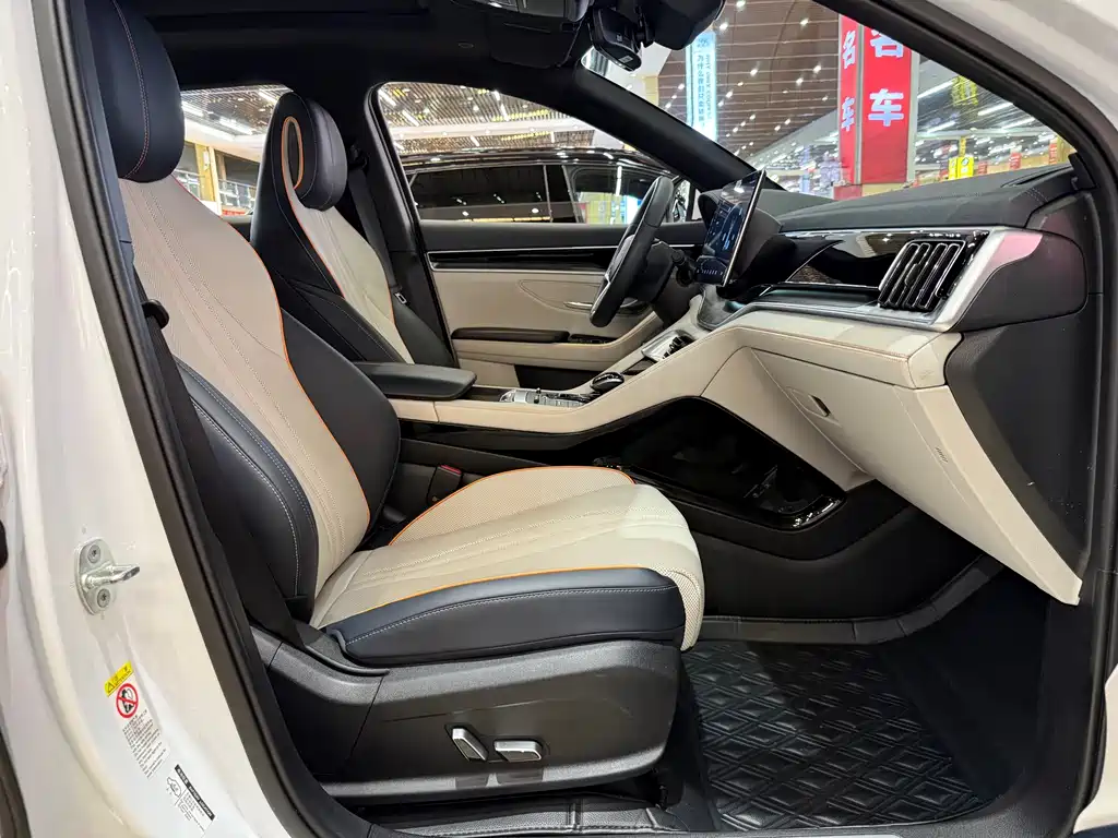 BYD Song PLUS New Energy 2023 — фото 28