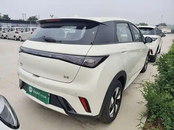 BYD Dolphin 2026