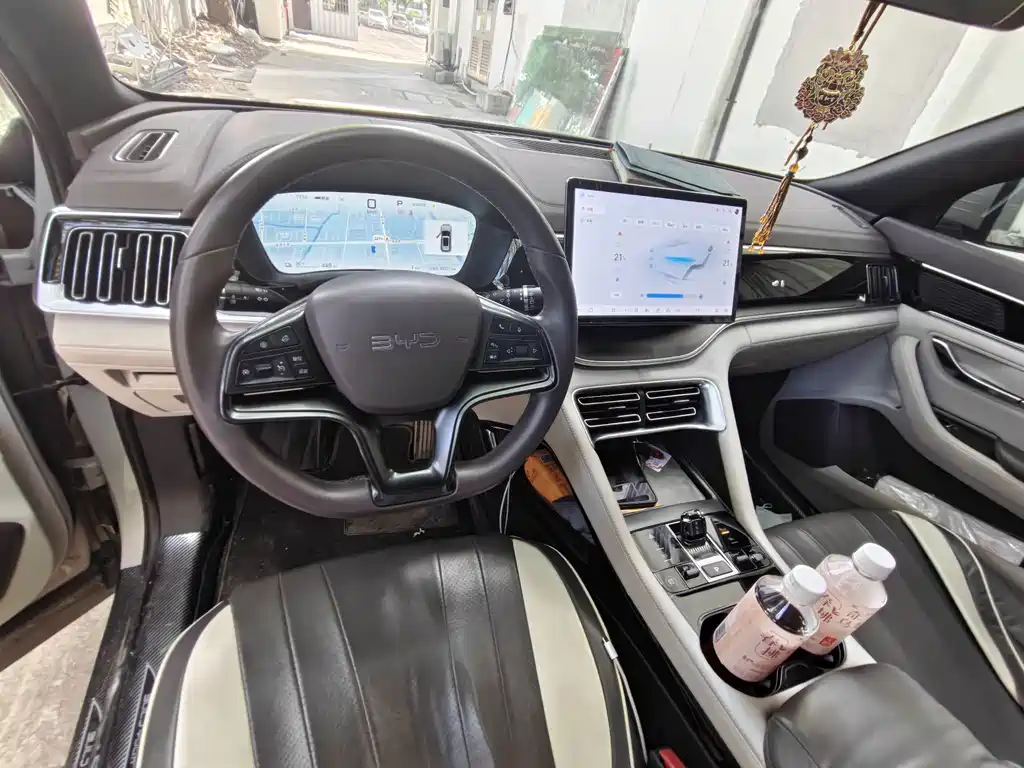 BYD Song PLUS New Energy 2024 — фото 6