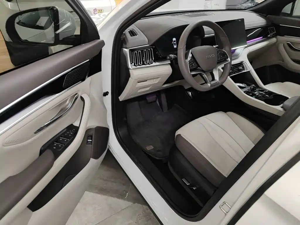 BYD Song PLUS New Energy 2024 — фото 16