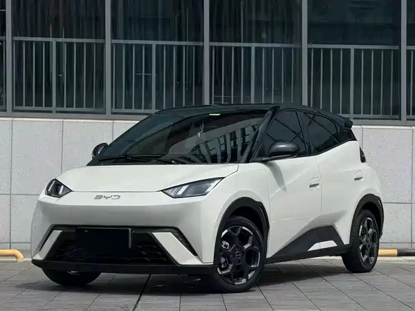 BYD Seagull 2024