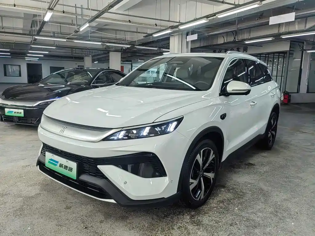 BYD Song Pro New Energy 2025 — фото 1