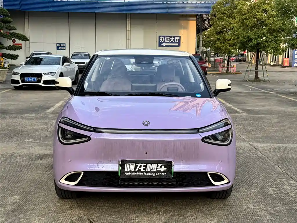 Dongfeng Nano 01 2025
