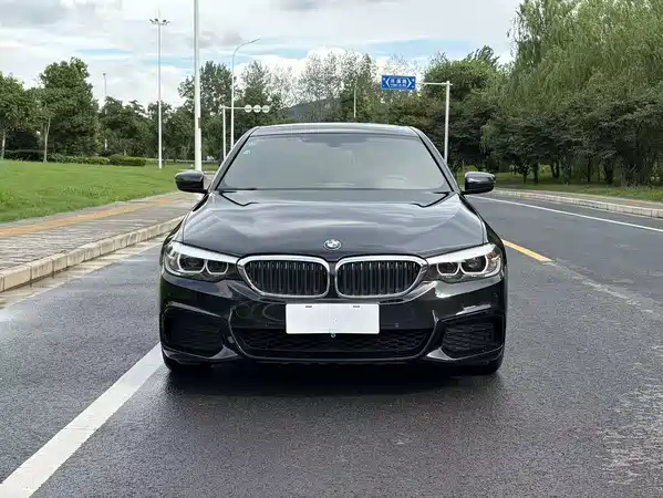 BMW 5 Series 2019