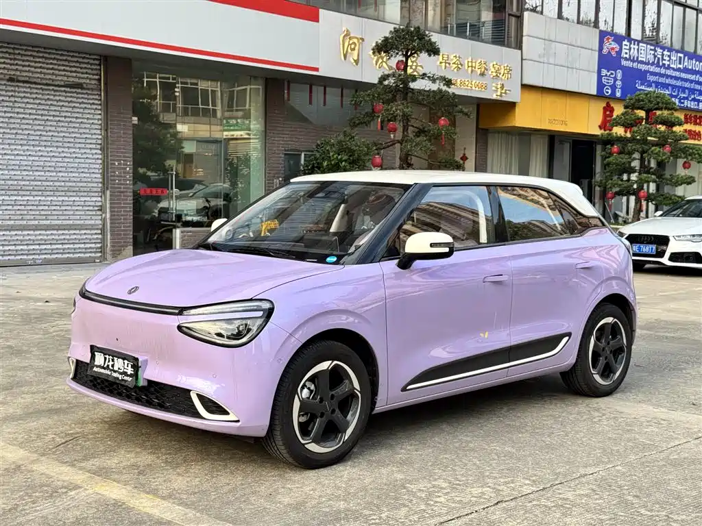 Dongfeng Nano 01 2025