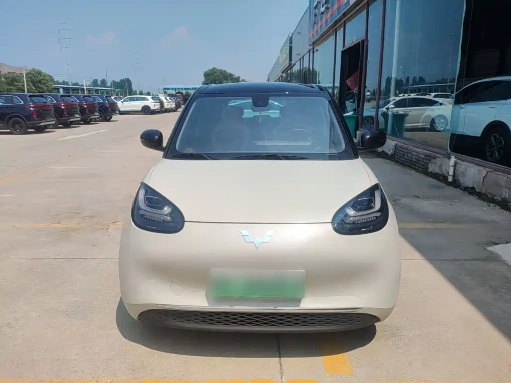 Wuling Bingo 2024
