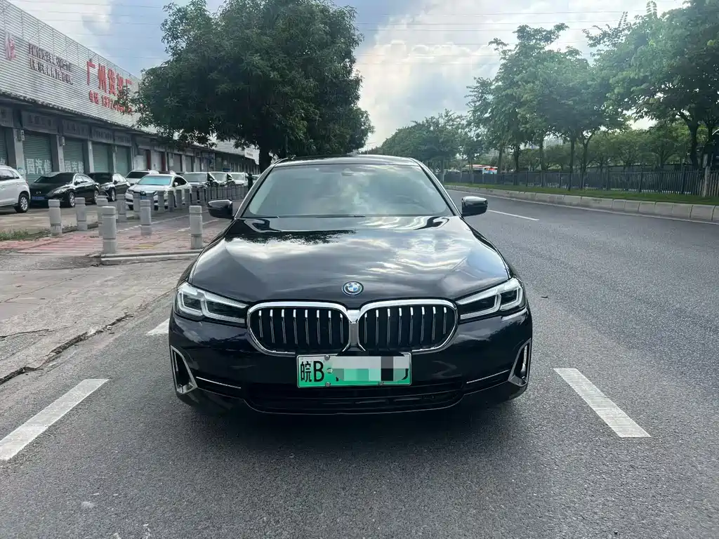 BMW 5 Series New Energy 2021