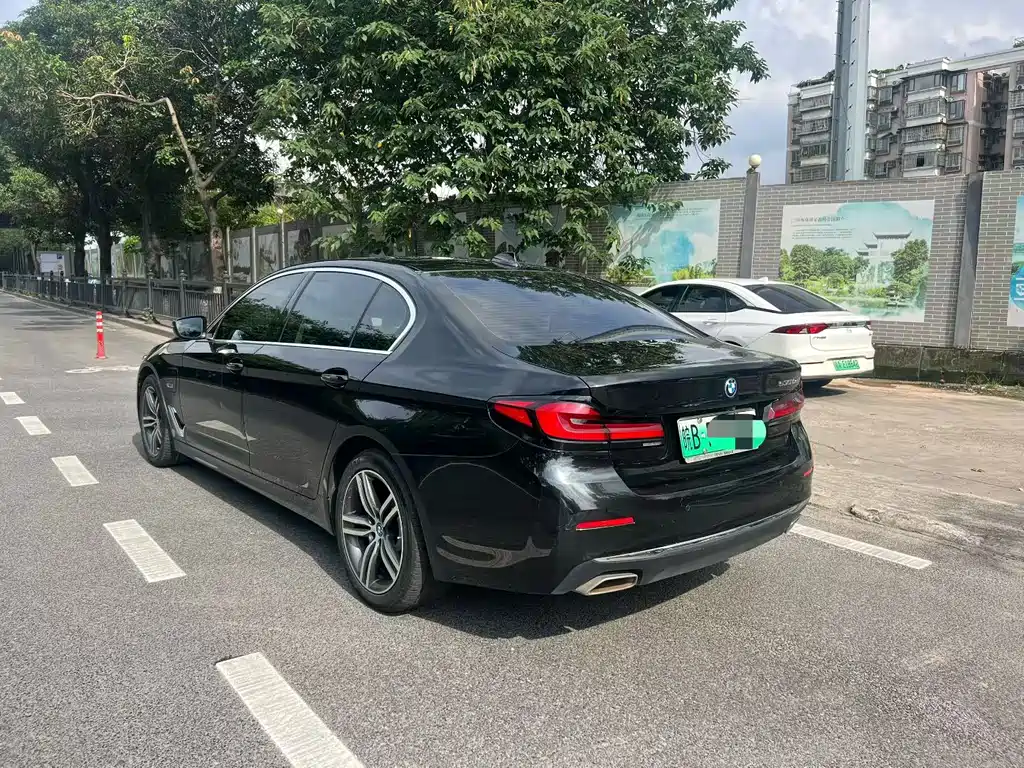 BMW 5 Series New Energy 2021