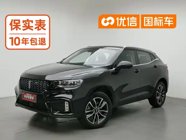 Wey VV5 2019