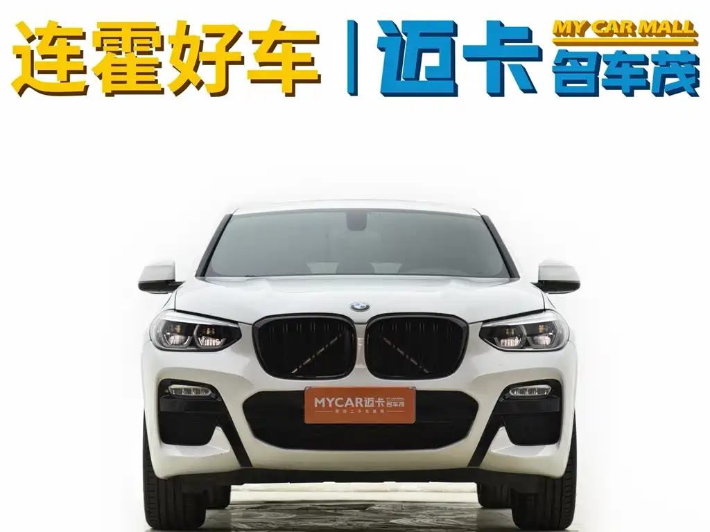 BMW X4 2019 — фото 4
