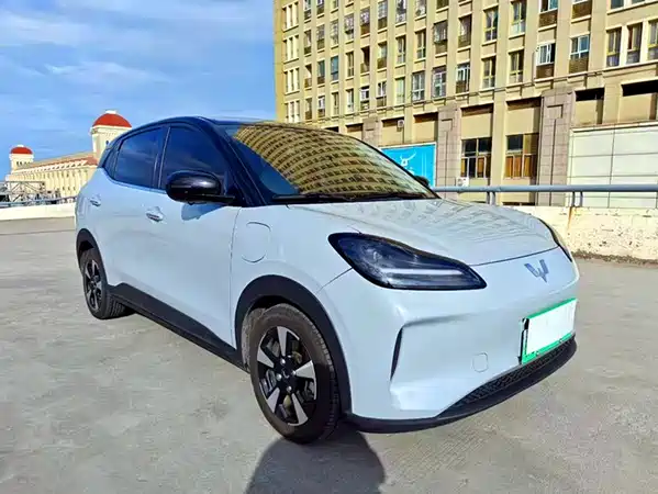 Wuling Bingo PLUS 2024