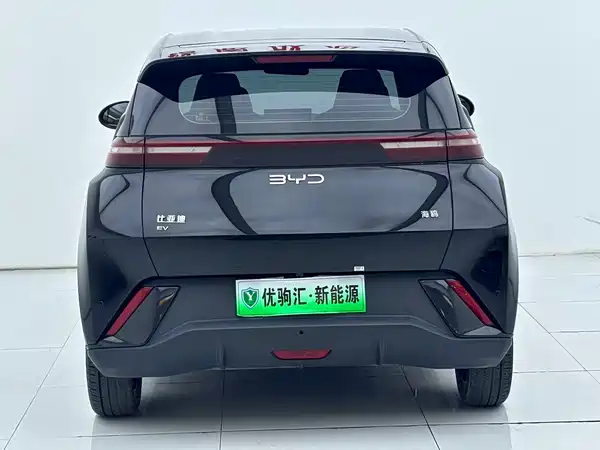 BYD Seagull 2024