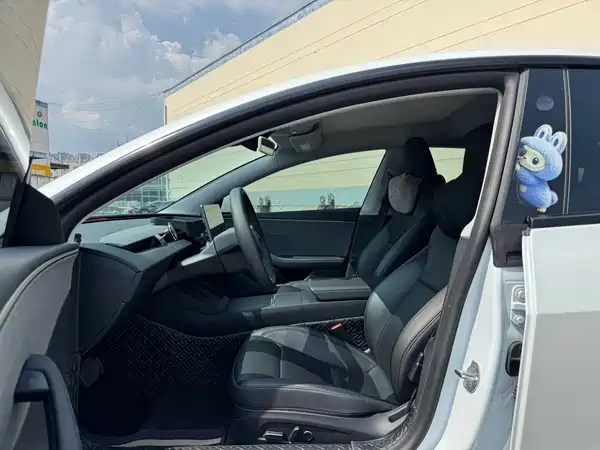 Tesla Model 3 2025