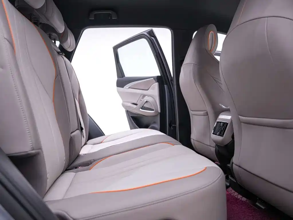 BYD Pro New Energy 2024 — фото 22