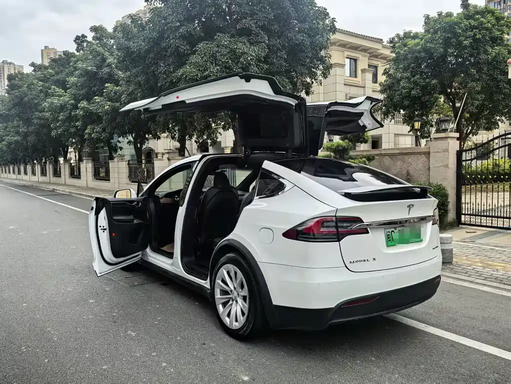 Tesla Model X 2020 — фото 16