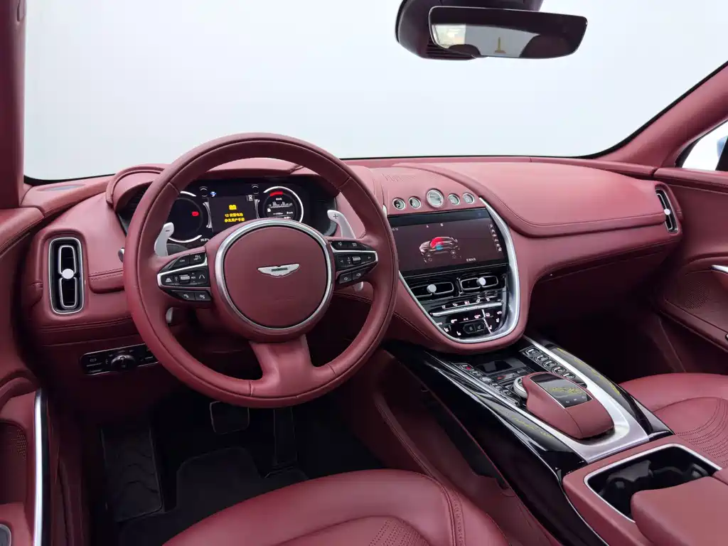 Aston Martin DBX 2022 — фото 16