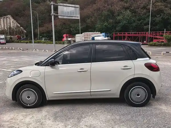 Wuling Bingo 2024