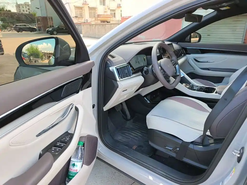BYD Song PLUS New Energy 2025 — фото 16