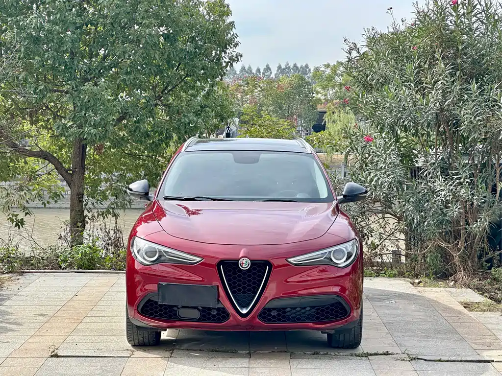 Alfa Romeo Stelvio 2017 — фото 2