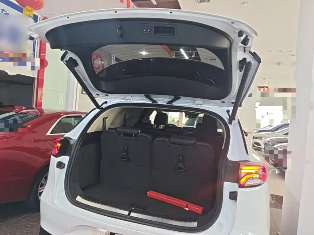 BYD Tang New Energy 2019 — фото 19