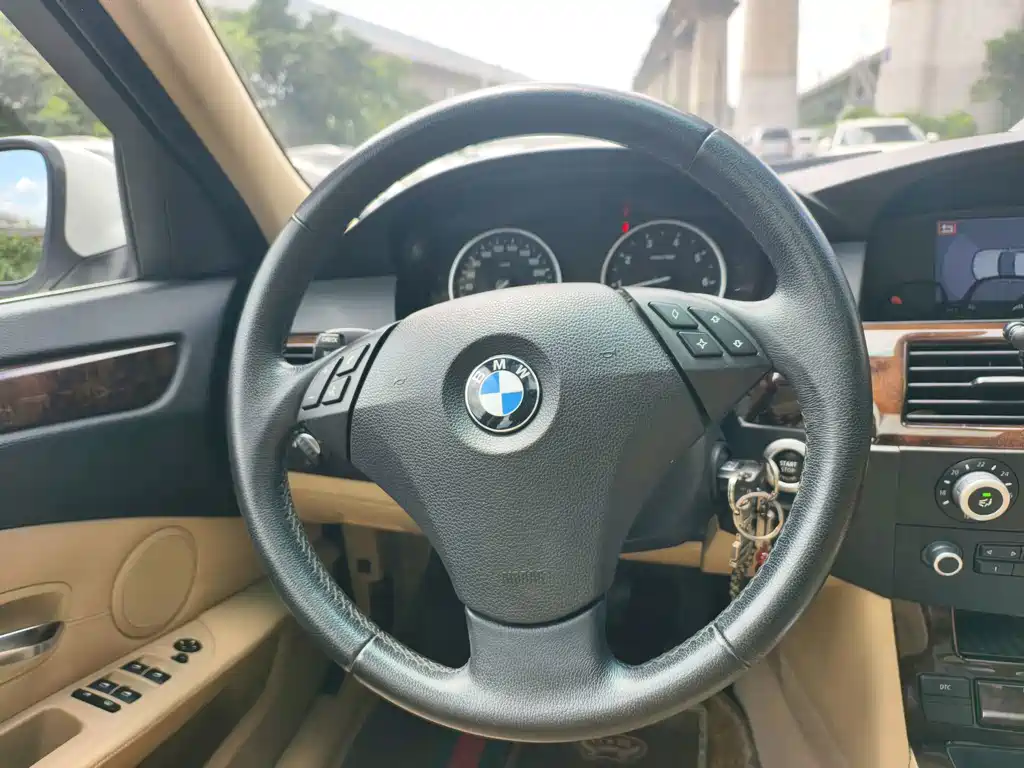 BMW 5 Series 2010 — фото 10