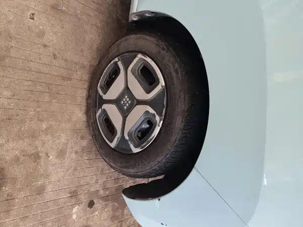 Dongfeng Scenery MINIEV 2022