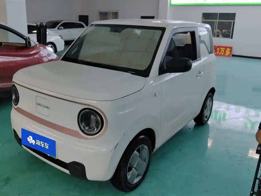 Galaxy Panda 2024