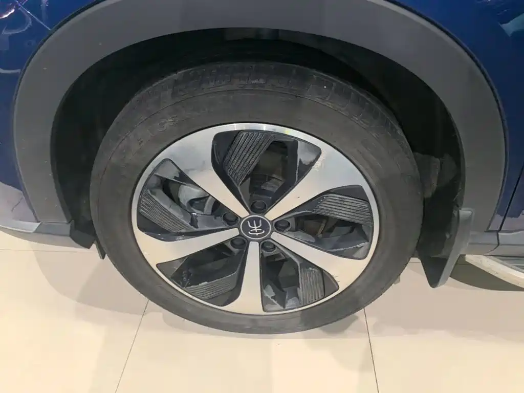 BYD Song PLUS New Energy 2023 — фото 23