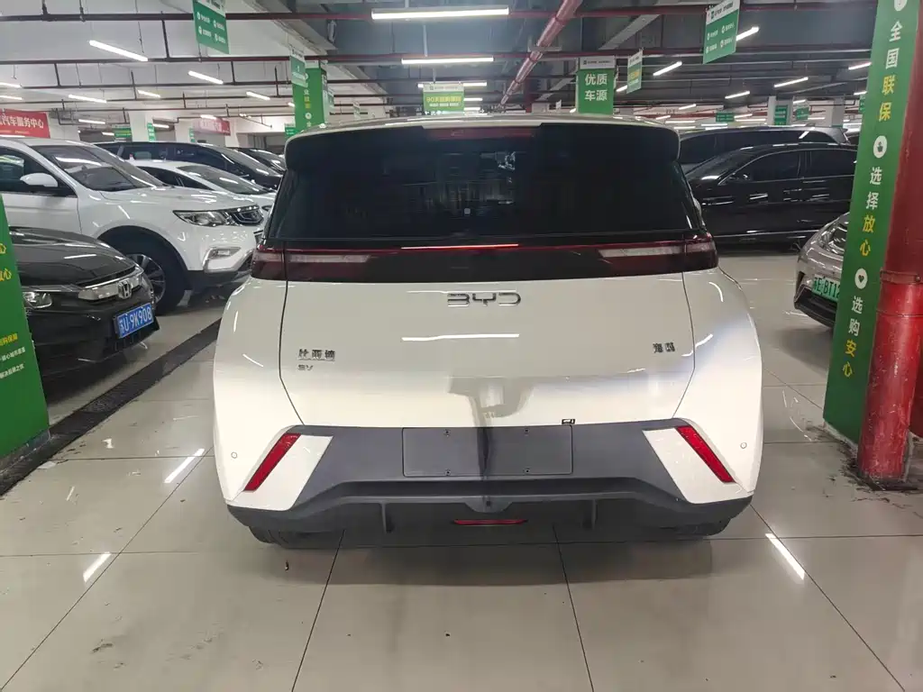 BYD Seagull 2024