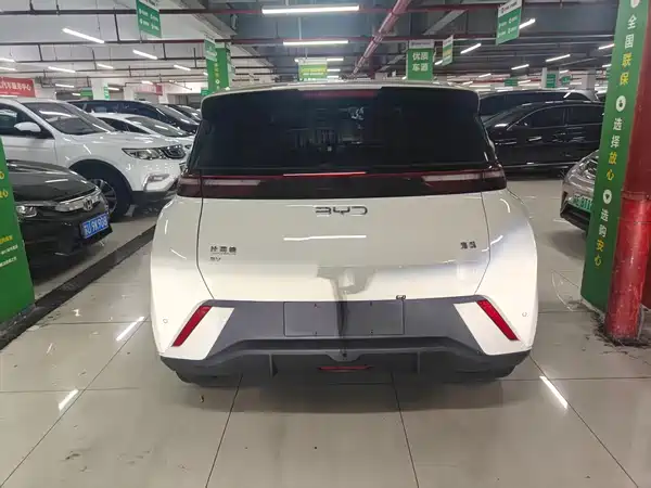 BYD Seagull 2024