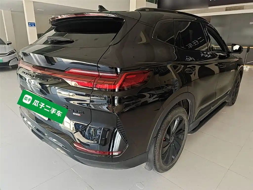BYD PLUS New Energy 2024 — фото 7