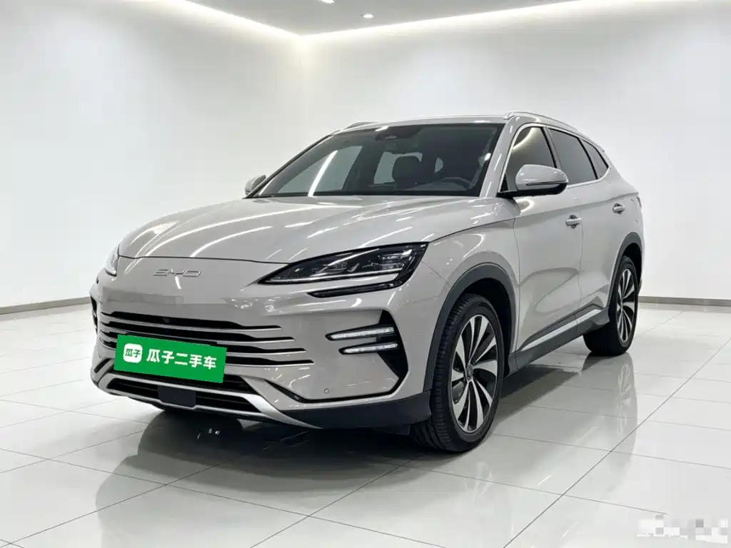 BYD Song PLUS New Energy 2023 — фото 1