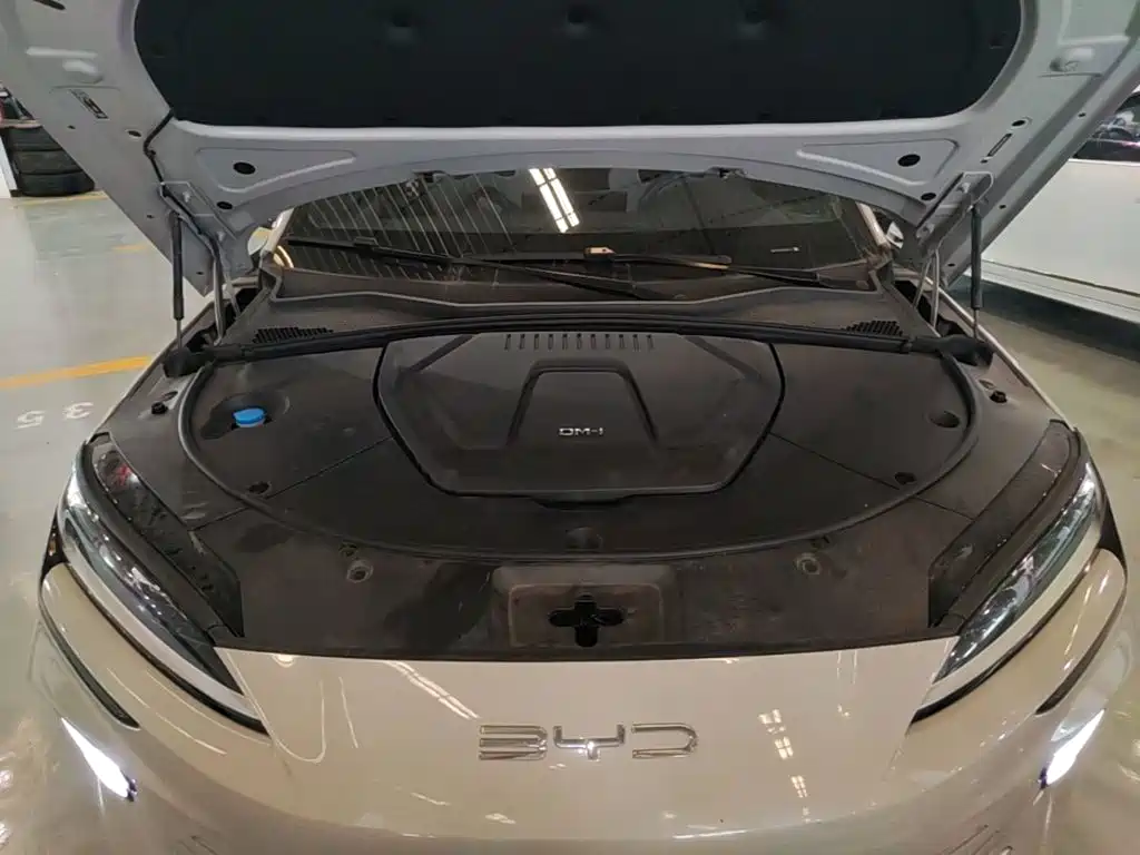 BYD Song PLUS New Energy 2023 — фото 20