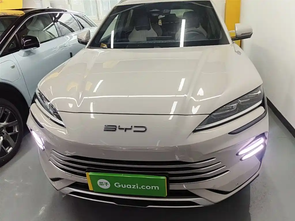 BYD PLUS New Energy 2024 — фото 3